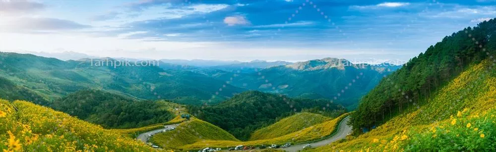 دشت گلهای زیبا بر فراز کوه با چشم‌اندازهای طبیعی فوق‌العاده