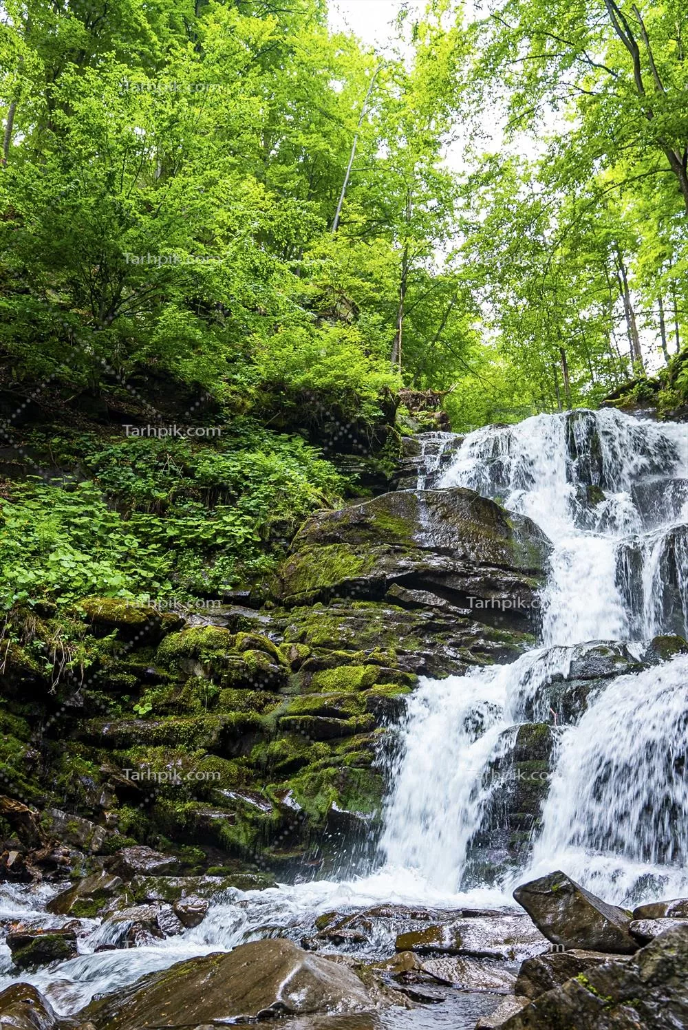 منظره‌ای شگفت‌انگیز از آبشار با جریان آب از میان سنگ‌ها در جنگل سبز