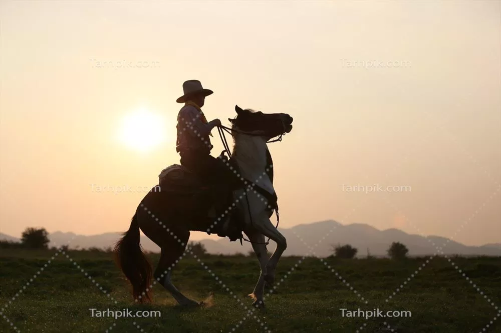 سکوت شب در غروب زیبای کوهستان: کابوی بر روی اسب در دل طبیعت