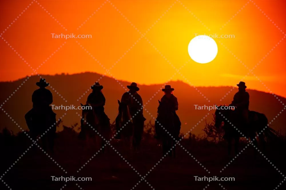 سیلوئت کابی از سوارکار بر اسب در برابر غروب زیبا و بستر طبیعی کوه و رودخانه