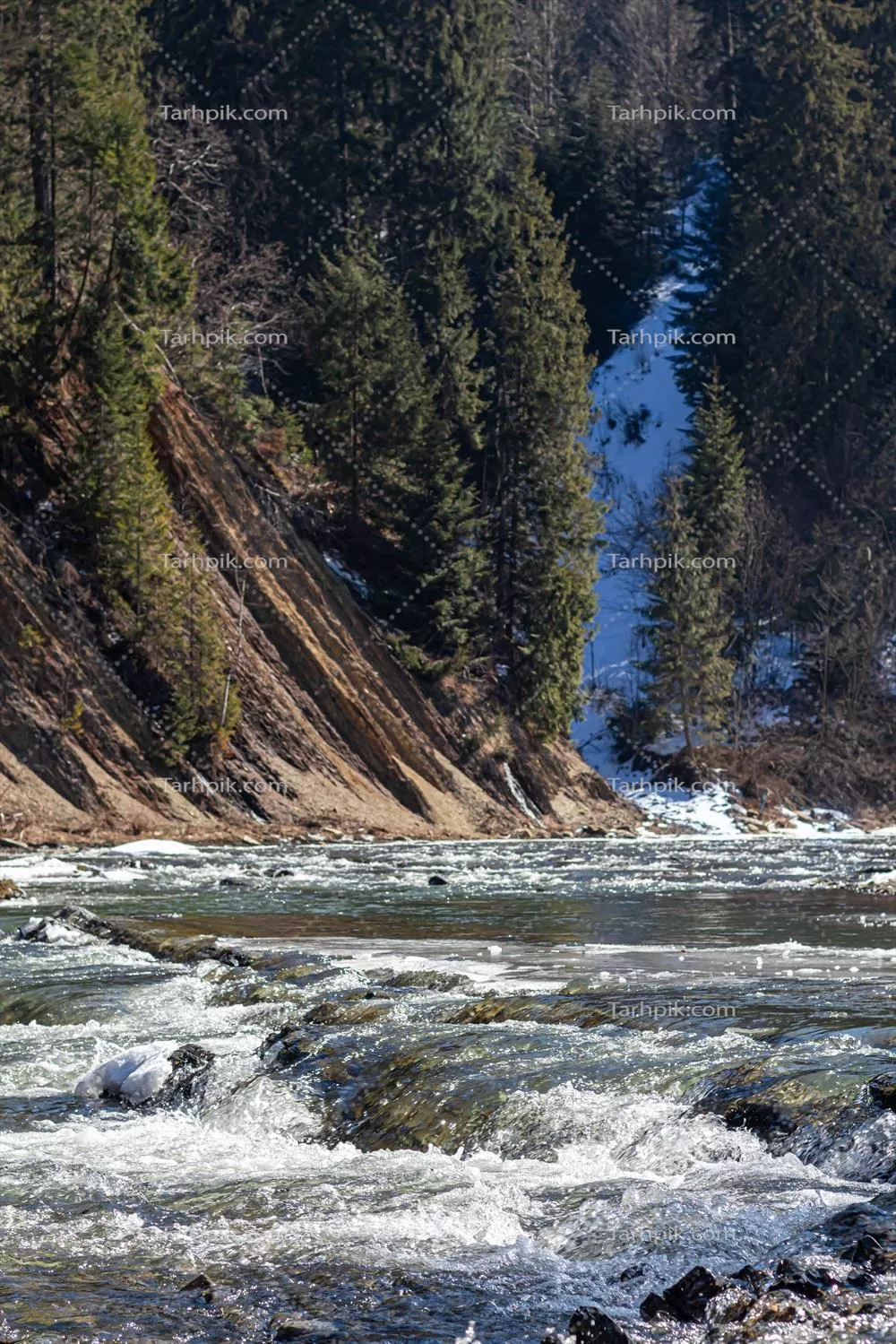 طبیعت کوههای غرب اوکراین: جنگلها، رودخانهها و پناهگاهی برای پناهندگان جنگ