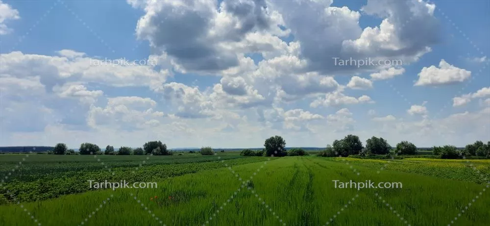 مناظر طبیعی زیبا و دلنشین: سفر به دنیای شگفت‌انگیز طبیعت