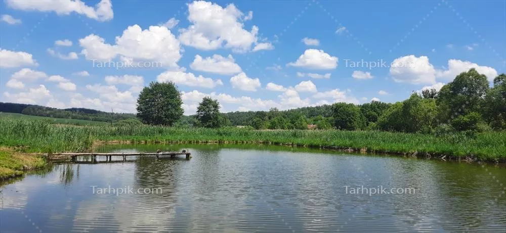 مناظر طبیعی زیبا: جاذبههای چشمگیر طبیعت و حفاظت از محیط زیست