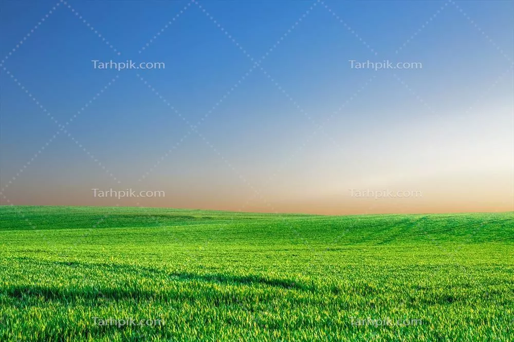 تصویر پس‌زمینه طبیعت با یک مرتع وسیع و آسمان زیبا