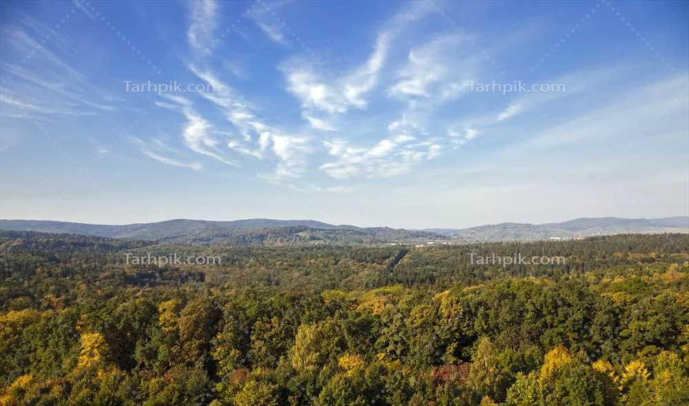 جنگل در پاییز: زیباییهای رنگارنگ پاییزی و تغییرات طبیعت