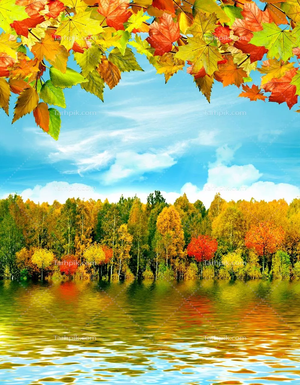 زیباییهای پاییز: منظرههای طبیعی و رنگارنگ در فصل خزان