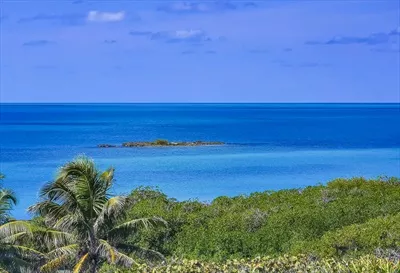 نمای پانوراما از سواحل گرمسیری و جنگلهای زیبا در جزیره کنتوی مکزیک