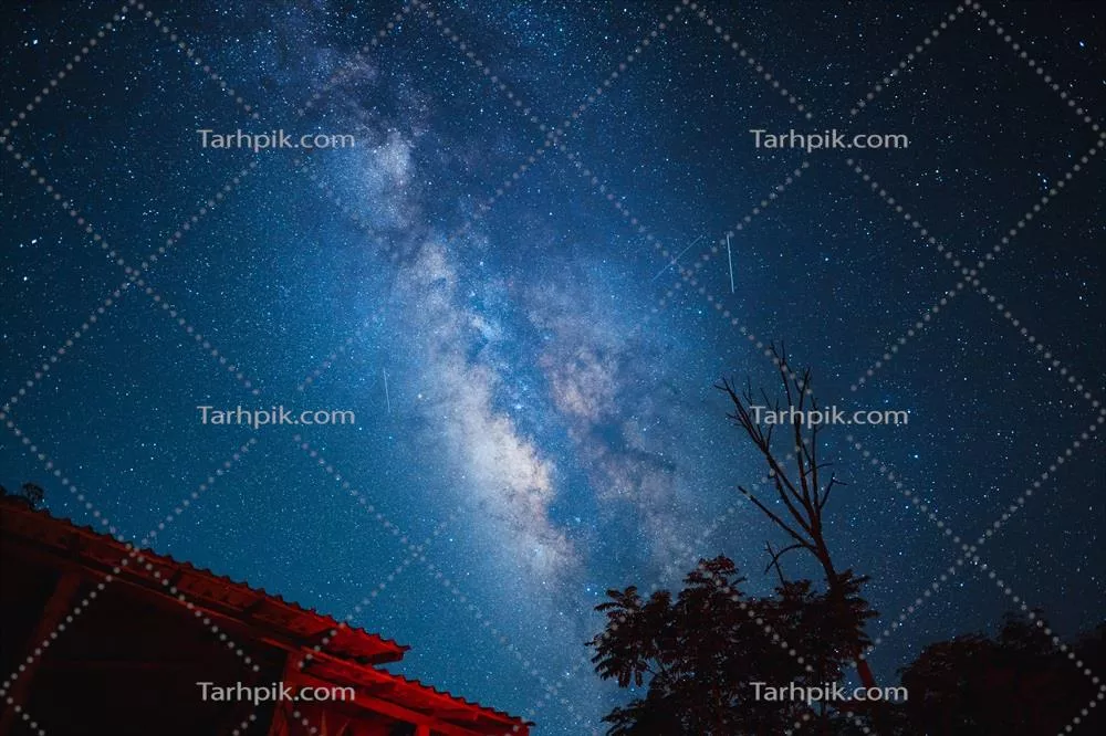 تصویر زیبای شب با کهکشان و درختان در برابر آسمان تاریک