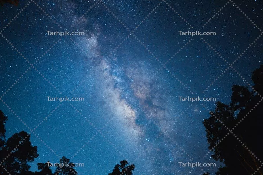 تصویری زیبا از آسمان شب با کهکشان راه شیری و درختان در پیش زمینه