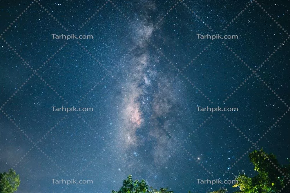 صحنه شب با کهکشان راه شیری و درختان در برابر آسمان تاریک