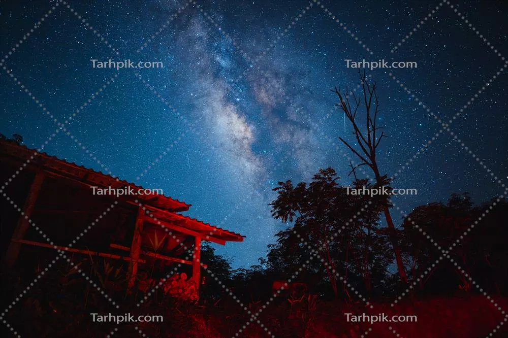 تصویر زیبا از صحنه شب با کهکشان و درختان در برابر آسمان تاریک