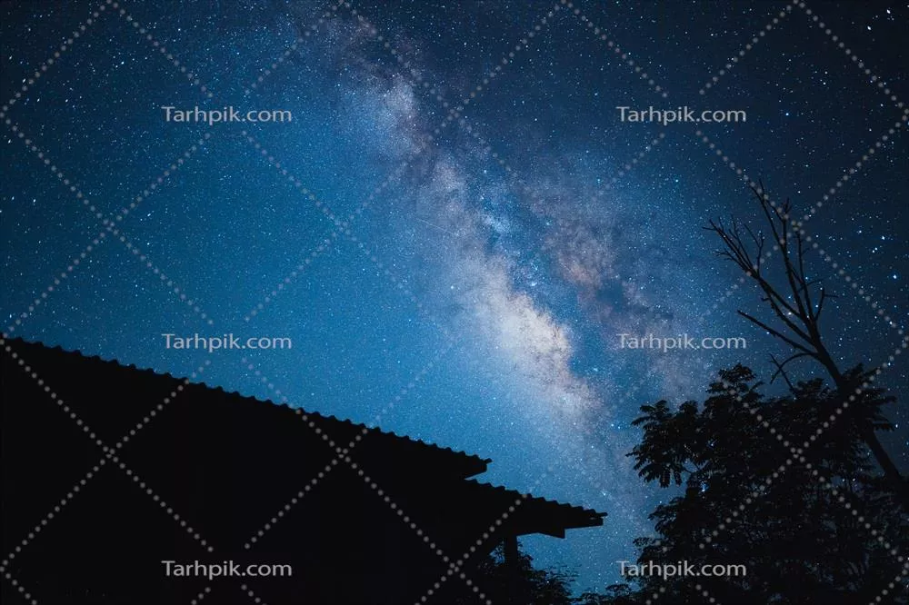 تصویر شب: کهکشان راه شیری در پس‌زمینه درختان و آسمان تاریک