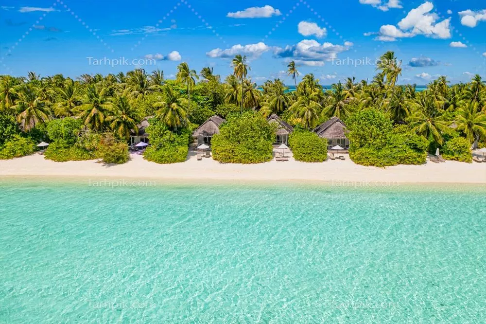 نمای هوایی از ساحل جزیره مالدیو: منظره tropical با درختان نخل و سواحل سفید