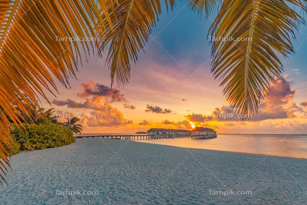 غروب آرام در سواحل بهشت مالدیو: تصویر زمینه‌ای برای سفر تابستانی و تعطیلات