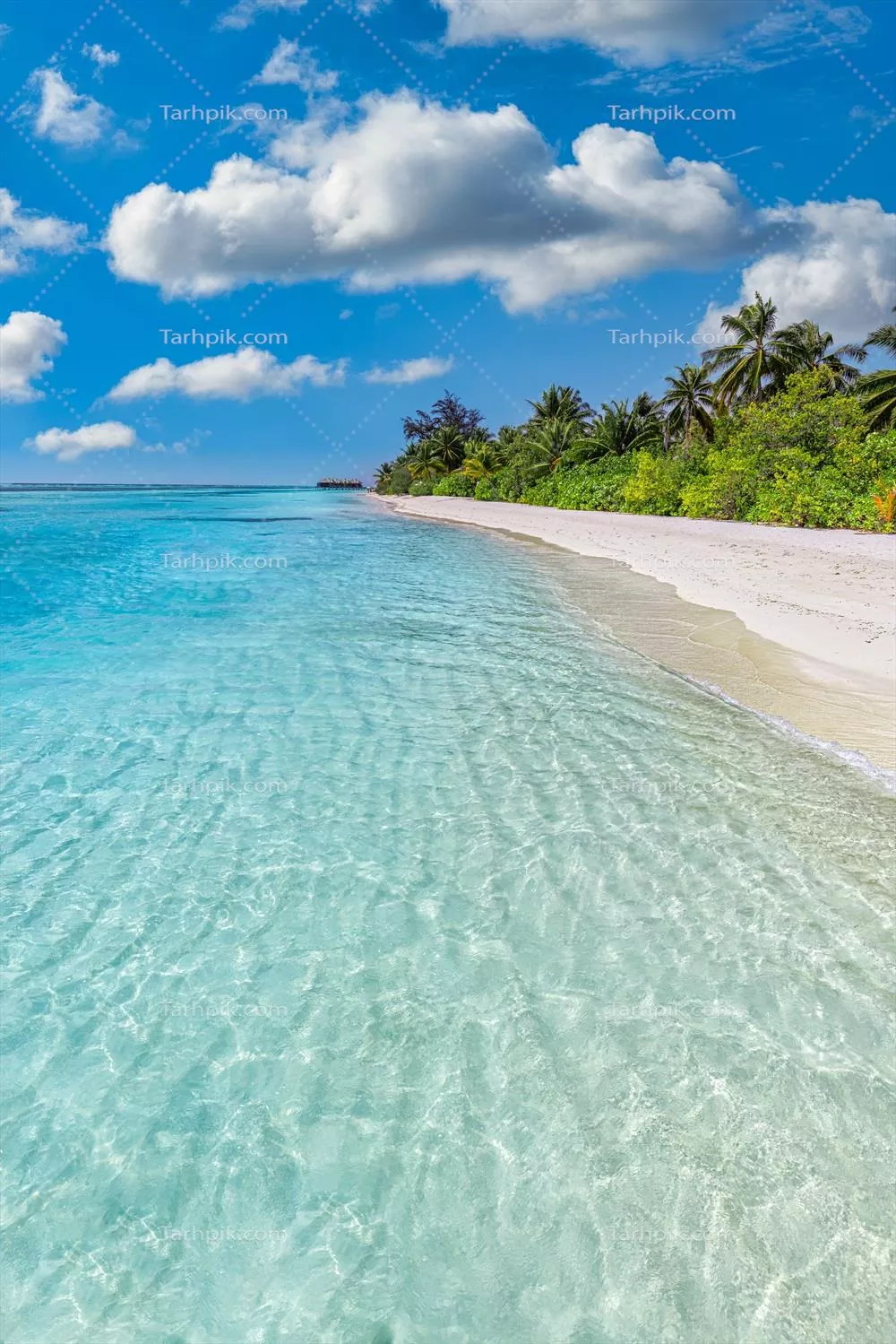 سواحل زیبا و شگفت‌انگیز جزیره‌ای با آب و هوای استوایی و درختان نخل