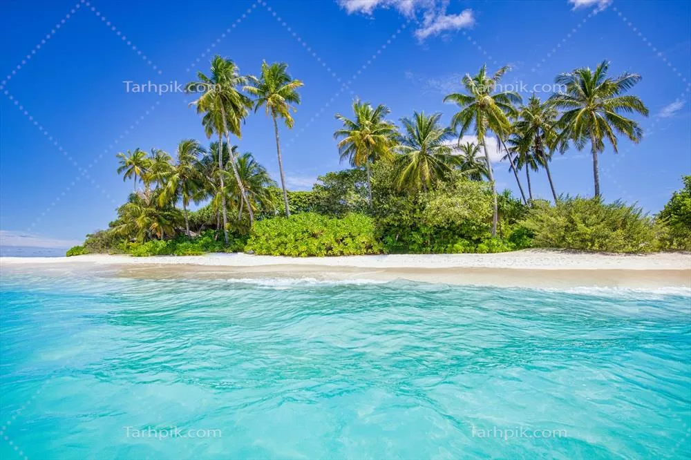 زمینه سفر تابستانی به ساحل استوایی با درختان نخل و شن های سفید در جزیره بهشتی