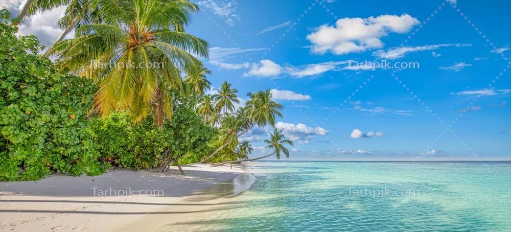 سفرهای تابستانی به جزایر استوایی و سواحل بهشتی با درختان نخل و آسمانی رویایی