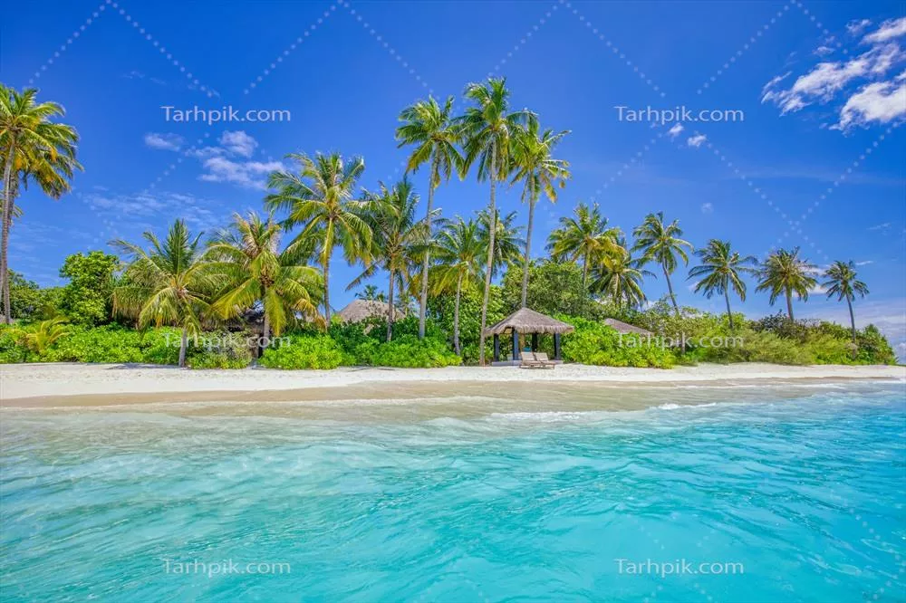 سفر تابستانی به جزیره‌ای استوایی با سواحل سفید و نخل‌های شیپوری در بهشت