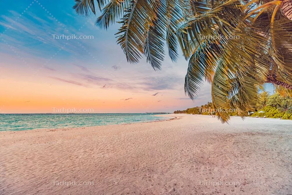 غروب پانورامیک زیبا در سواحل گرمسیری بهشت استوایی برای تعطیلات تابستانی