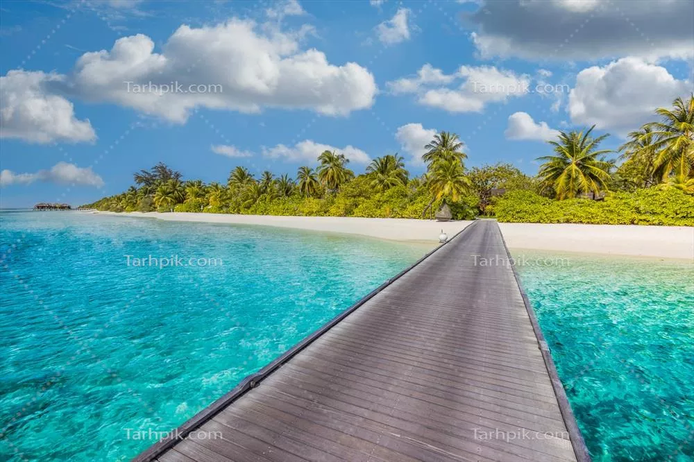 جزیره زیبا و Tropical مالدیو با سواحل، دریای منحصر به فرد و نخل های نارگیل در آسمانی آبی برای مفهوم تعطیلات لوکس طبیعی