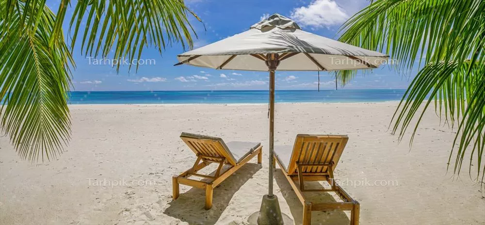مناظر طبیعی استوایی با صحنههای ساحلی زیبا و چترهای راحتی برای سفر لوکس