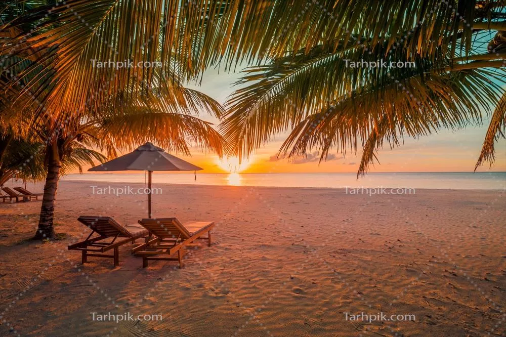 عکس های رمانتیک از زوجی در سواحل زیبای گرمسیری در تابستان