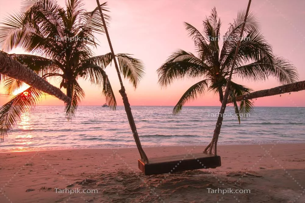 تاب چوبی درخت نخل بر روی ساحل گرمسیری در غروب آفتاب بر فراز دریا برای سفر و استراحت در تعطیلات