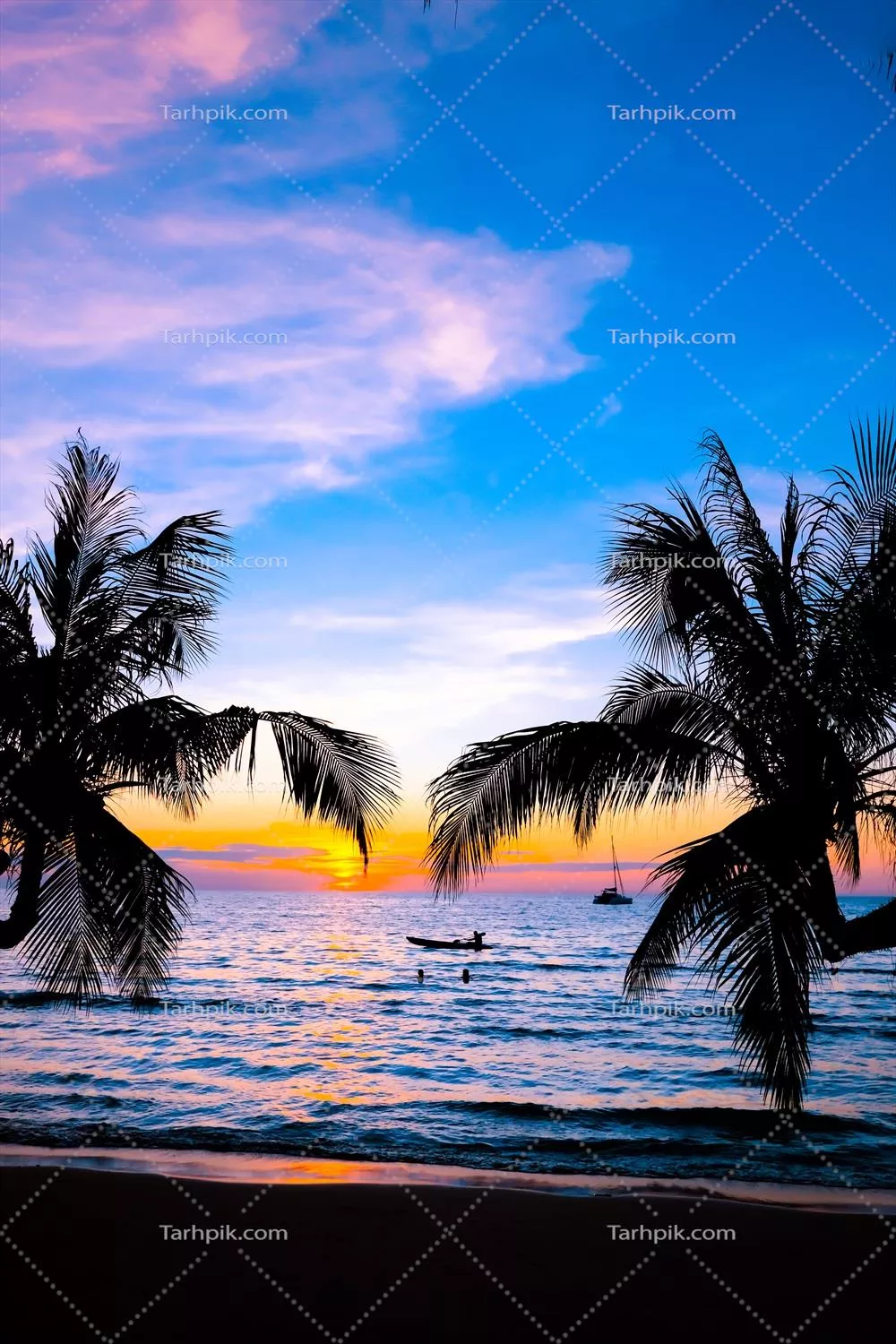 سکوت غروب زیبا در ساحل دریا با درخت نخل برای سفر و زمان استراحت در طبیعت