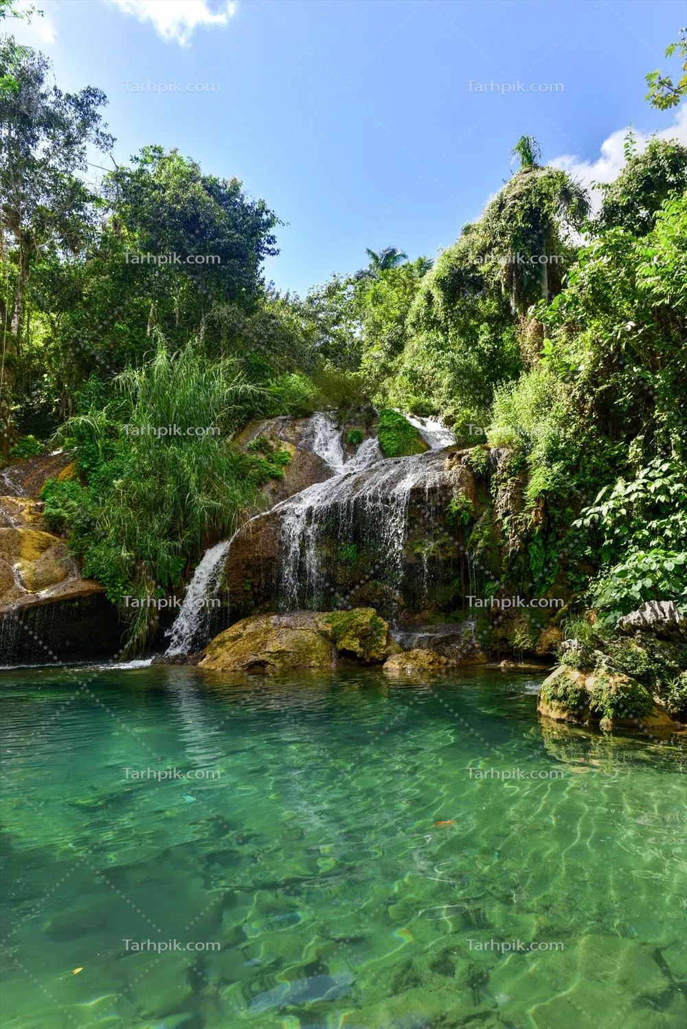 آبشارهای ال نیکو در کوبا: چشم‌اندازهای طبیعی پارک طبیعی گران پارکه توپس د کولانتس