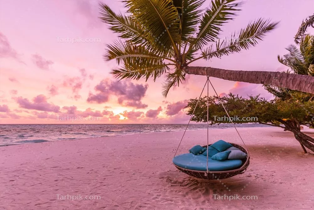 غروب رمانتیک بر روی سواحل آرام با درخت نخل و کلاغی در آسمان ابری و زیبای طبیعت