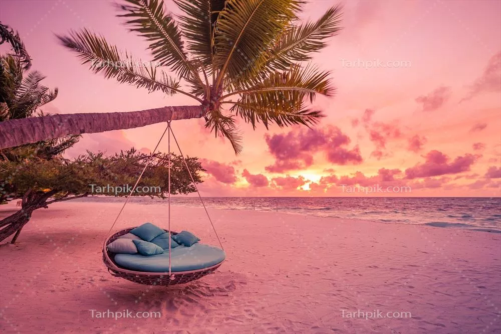 غروب عاشقانه در ساحل با نخل و تاب آویزان در جزیره ای tropical و بهشت
