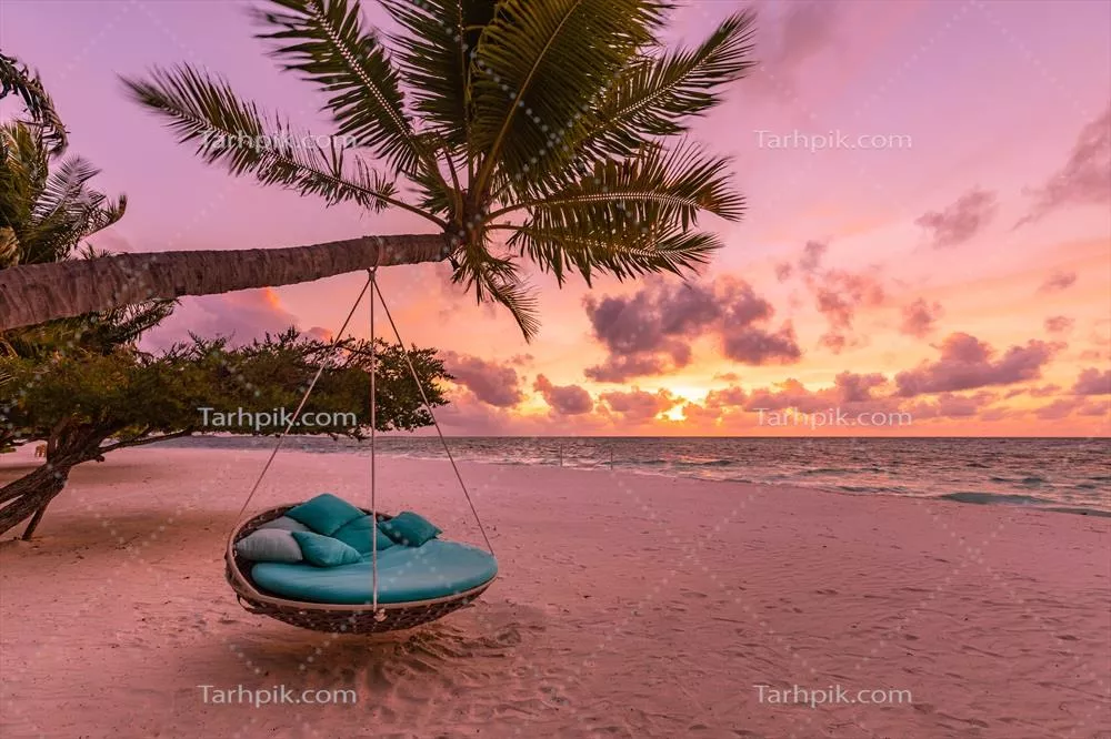 غروب عاشقانه در سواحل استوایی؛ درخت نخل و تاب معلق در آسمان ابری زیبا