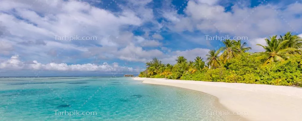 بهشت گرمسیری با ساحل شنی سفید و درختان نارگیل - تجربه ای آرامش بخش در سفر