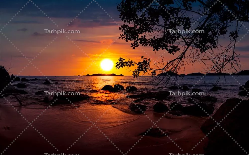 غروب دراماتیک در سواحل با درخت و سنگ‌ها در کنار دریا