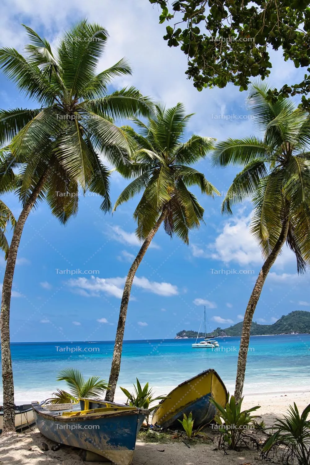 درختان نخل نارگیل و قایق‌ها در ساحل تاکاماکا، موریس سیشل
