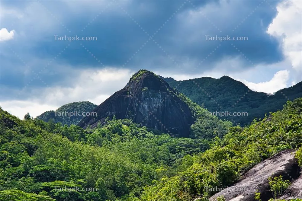 مسیر طبیعی انسی مایور: صخره بزرگ گرانیتی در دل جنگل ماهه سیشل