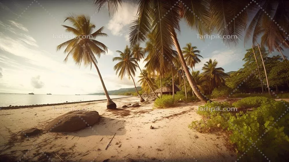 بهشت استوایی: سواحل نخل نارگیل و لاگون با شنهای سفید