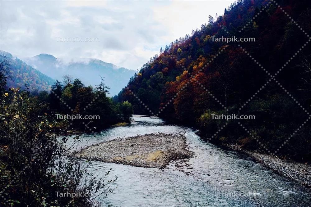 سفر به کوهستان های جنگلی در پاییز: منظره ای از رودخانه و طبیعت بی نظیر