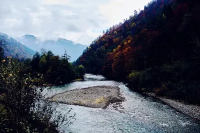 سفر به کوهستان های جنگلی در پاییز: منظره ای از رودخانه و طبیعت بی نظیر