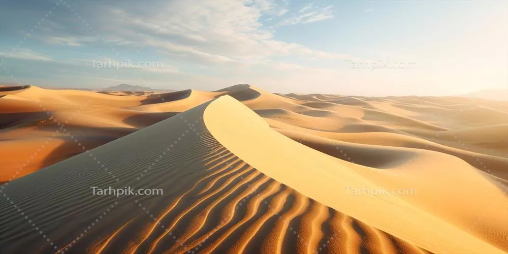 انیمیشن جنراتیو شنهای زیبای کویری با عناصر طبیعی و ماجراجویی در فضای باز