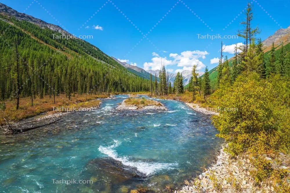 شتاب آبشارهای کوهستانی آلتای: طبیعت باشکوه و زیبای آبهای آبی