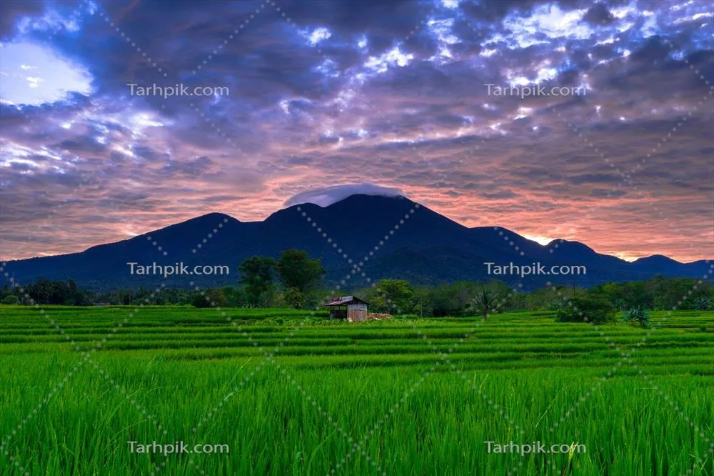 نماهای زیبا از طلوع صبح در اندونزی با مناظر بیدی و آسمان طبیعی