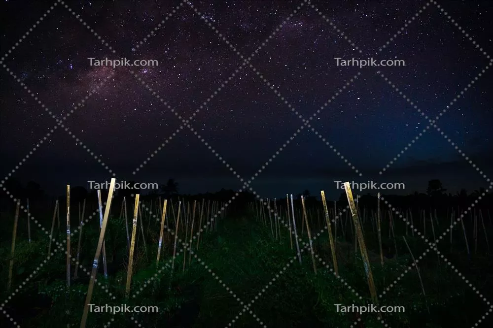 منظره‌ی زیبا و پانورامای صبحگاهی از اندونزی با رنگ‌های طبیعی و مزارع برنج