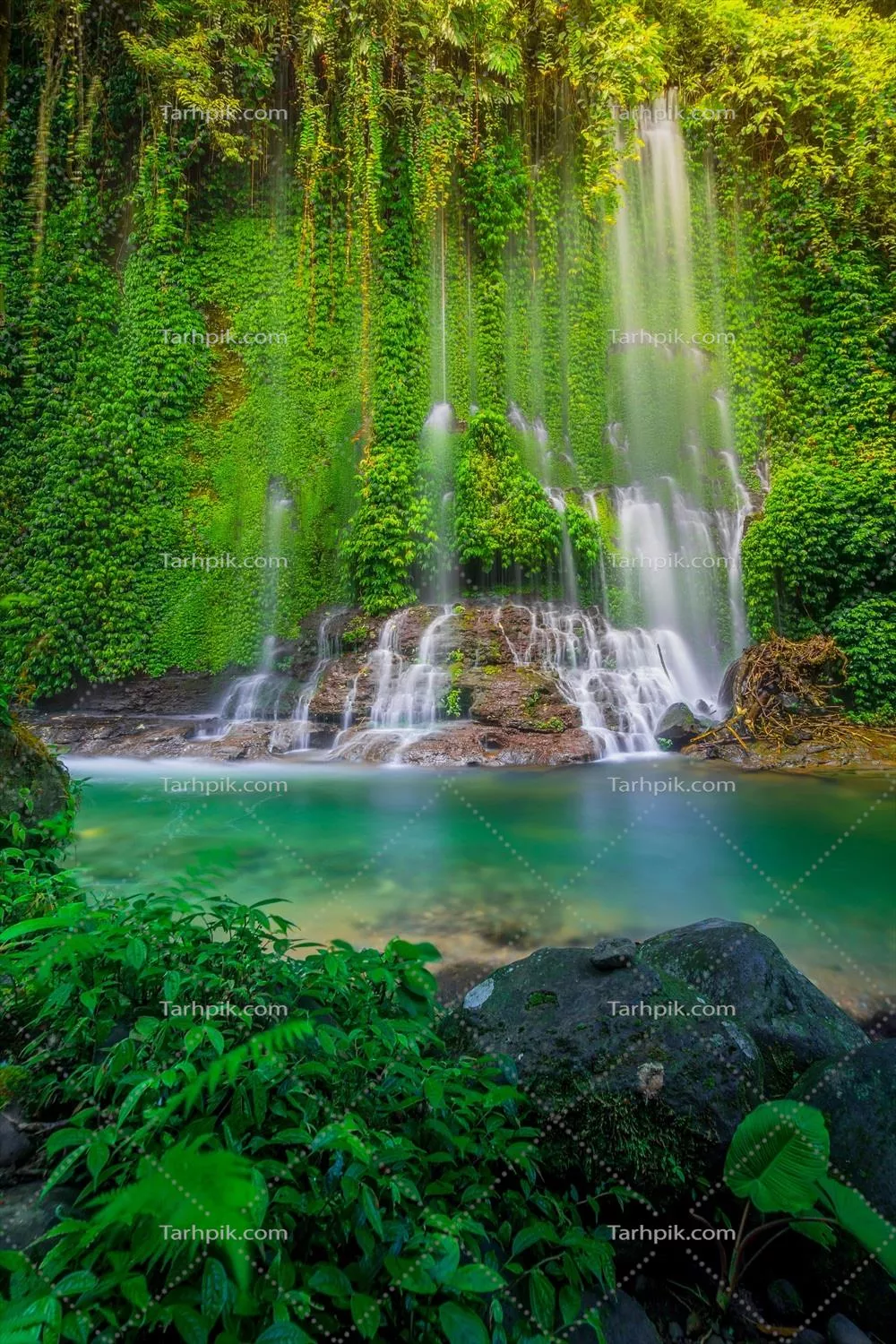 نمای زیبای صبحگاهی در اندونزی: چشم‌انداز پانوراما با مزارع برنج و آسمان رنگارنگ