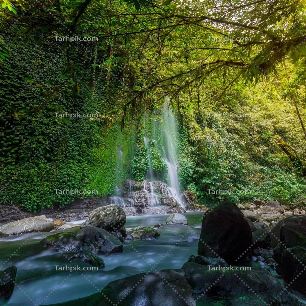 منظر زیبای صبحگاهی در اندونزی با چشم‌انداز وسیع مزارع برنج و نور طبیعی