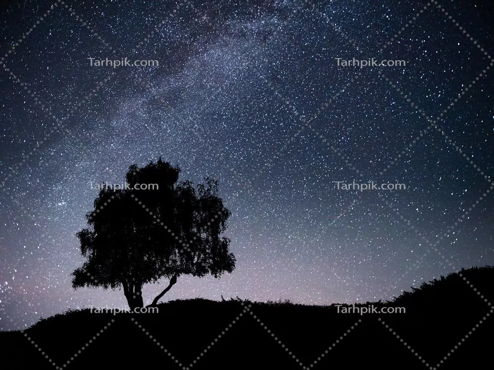 چشمانداز شبانه با ستارههای آسمان و سیلوئت درختی در تپه، کهکشان راه شیری و ستارههای در حال سقوط
