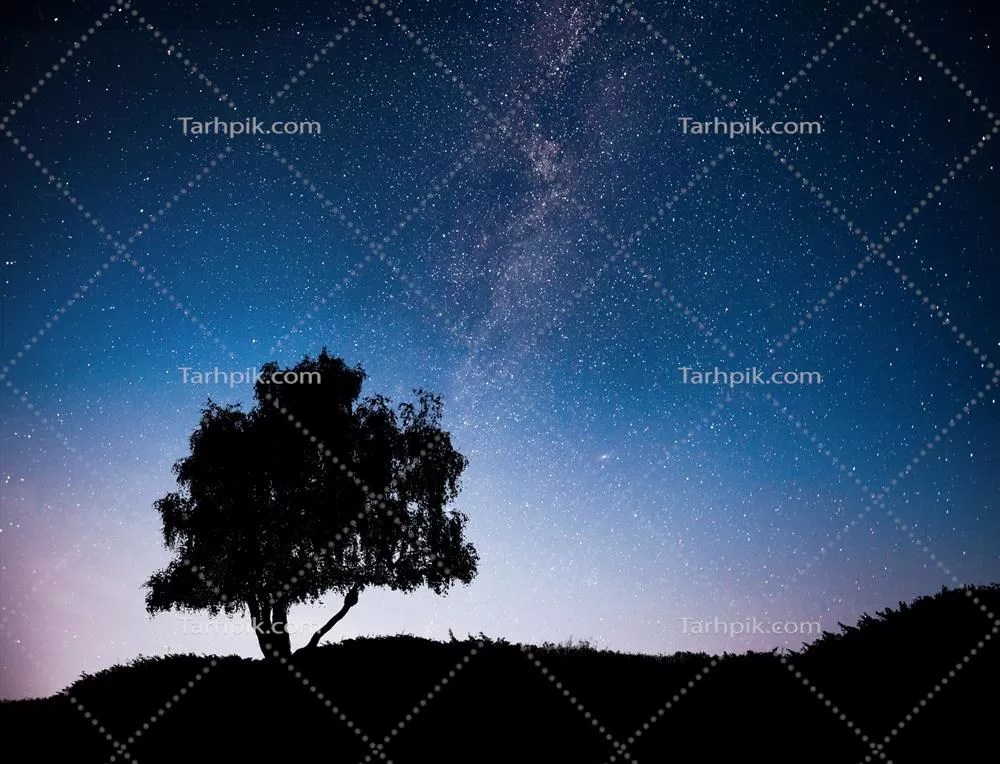 مناظر شبانه با آسمان پرستاره و سایه درختان بر تپه، کهکشان راه شیری و ستاره های دنباله دار