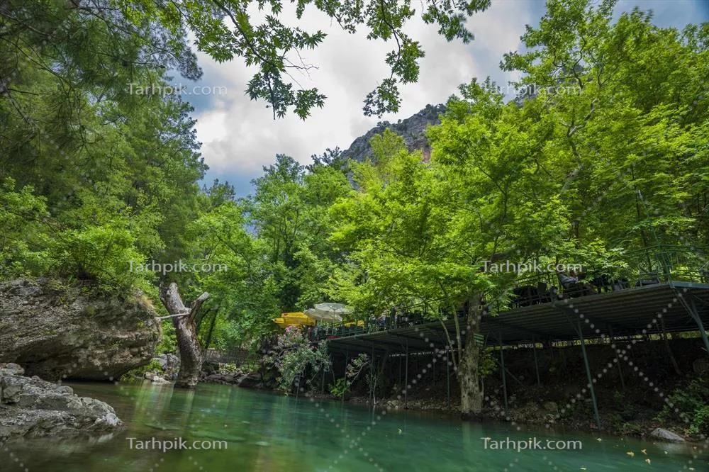 مناظر کوهستانی و جنگلی با آبشارها و جریان‌های آرام رودخانه در طبیعت سبز