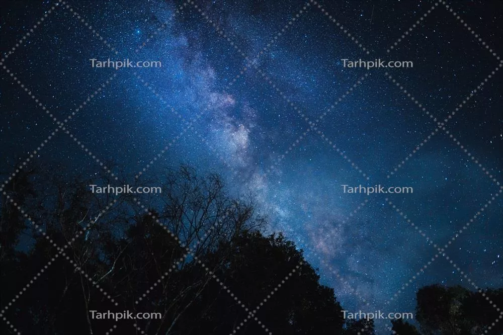 منظره شب با کهکشان راه شیری و درختان در برابر آسمان در شب