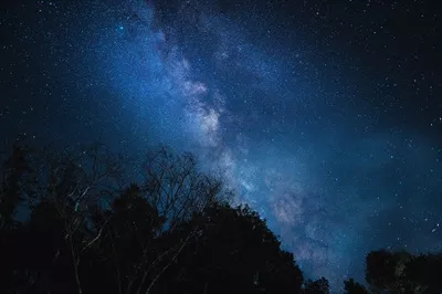 منظره شب با کهکشان راه شیری و درختان در برابر آسمان در شب